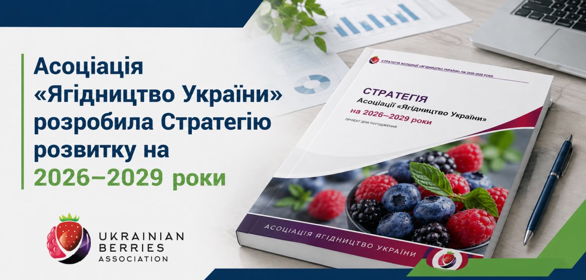 Асоціація «Ягідництво України» розробила Стратегію розвитку на 2026–2029 роки